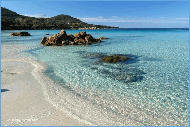 balade sur la plage